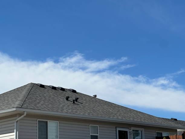 Best 4 Ply Roofing  in Fabrica, TX