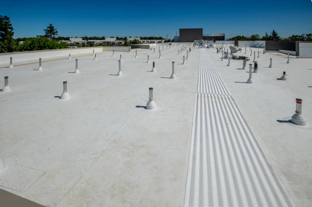 Best Skylight Installation and Repair  in Fabrica, TX